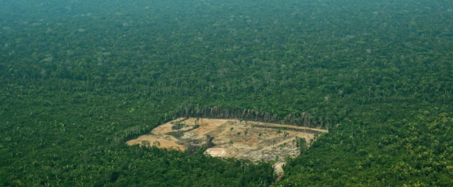 Noruega bloqueia repasse de R$ 132,6 milhões ao Fundo Amazônia
