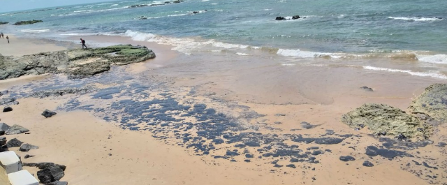 Manchas no Nordeste: Mais de 22 toneladas de óleo são retiradas das praias de Salvador