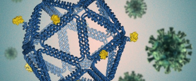 Técnica "origami de DNA" desenhada há quase 15 anos é testada para design de vacinas contra HIV e Covid-19