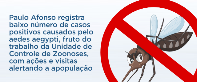 Paulo Afonso registra baixo número de casos de dengue, mas população deve continuar alerta aos cuidadosPaulo Afonso registra baixo número de casos de dengue, mas população deve continuar alerta aos cuidados