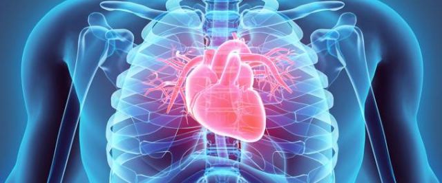 SUS incorpora novo medicamento contra insuficiência cardíaca