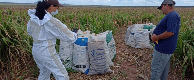 FPI constata uso de agrotóxico e armazenamento irregular em fazendas nos municípios de Santa Brígida e Jeremoabo