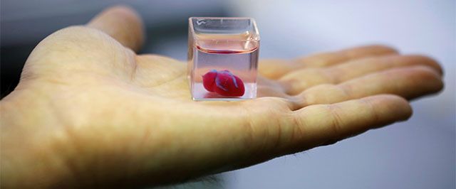Cientistas de Israel apresentam coração feito por impressora 3D